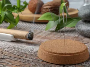Akupunktur, Moxen, Kräuter, 5 Säulen der TCM
